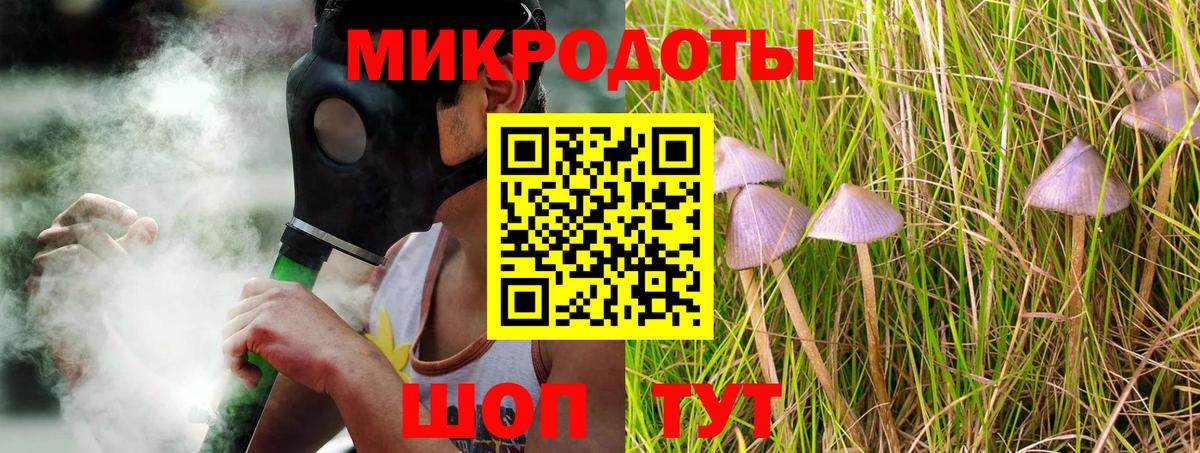 Галлюциногенные грибы Psilocybe Самара