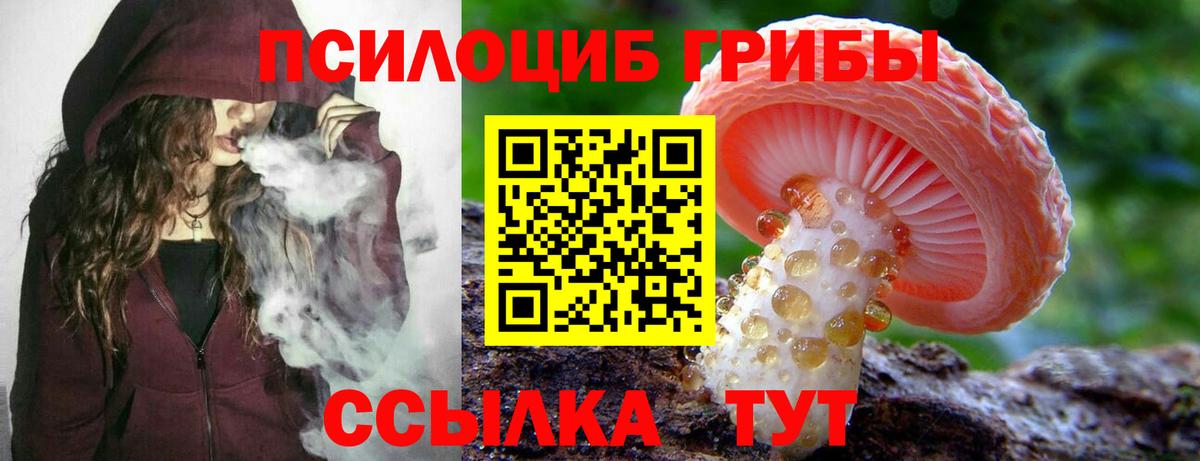 Самара  где можно купить наркотик  Вход с VPN  Галлюциногенные грибы Psilocybine cubensis 